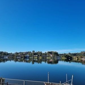 Meet your Posher, Koko